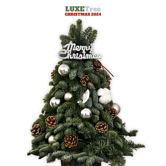 2025諾貝松枝聖誕樹(預訂:11月30日後送貨)