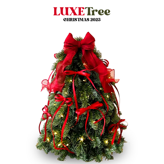 2025絲帶諾貝松枝聖誕樹(預訂:11月30日後送貨)