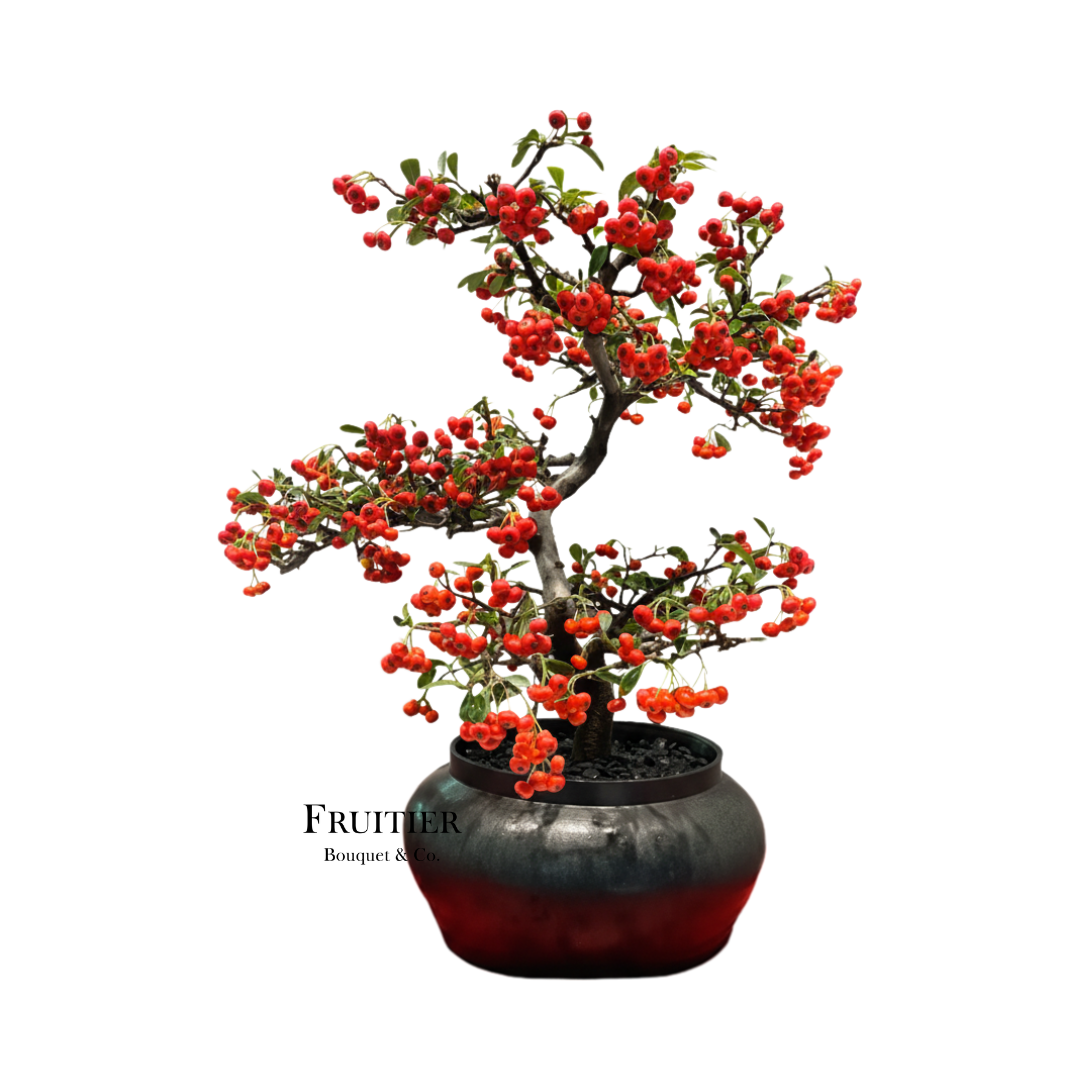 商業花藝佈置:火棘果