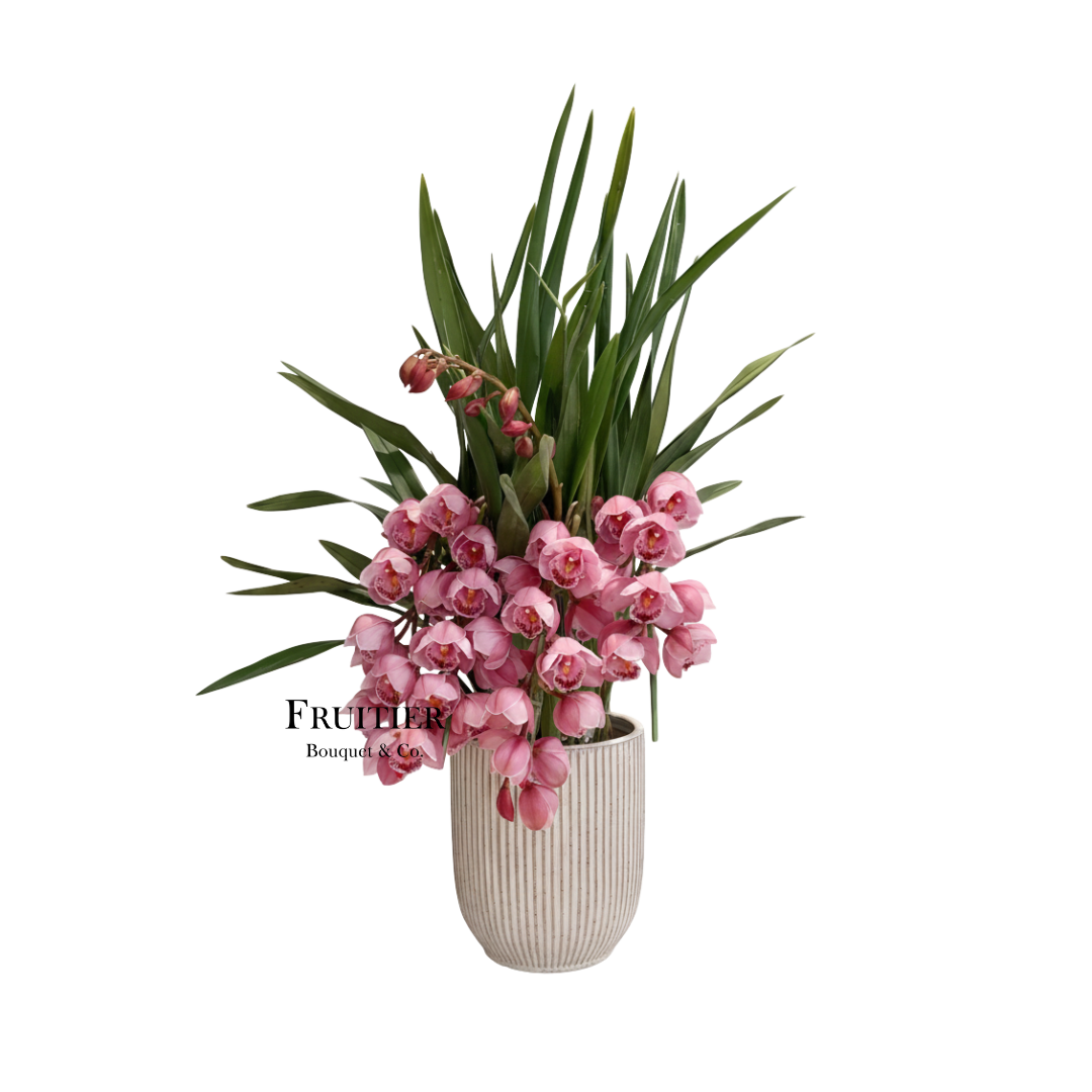 商業花藝佈置:大花蕙蘭