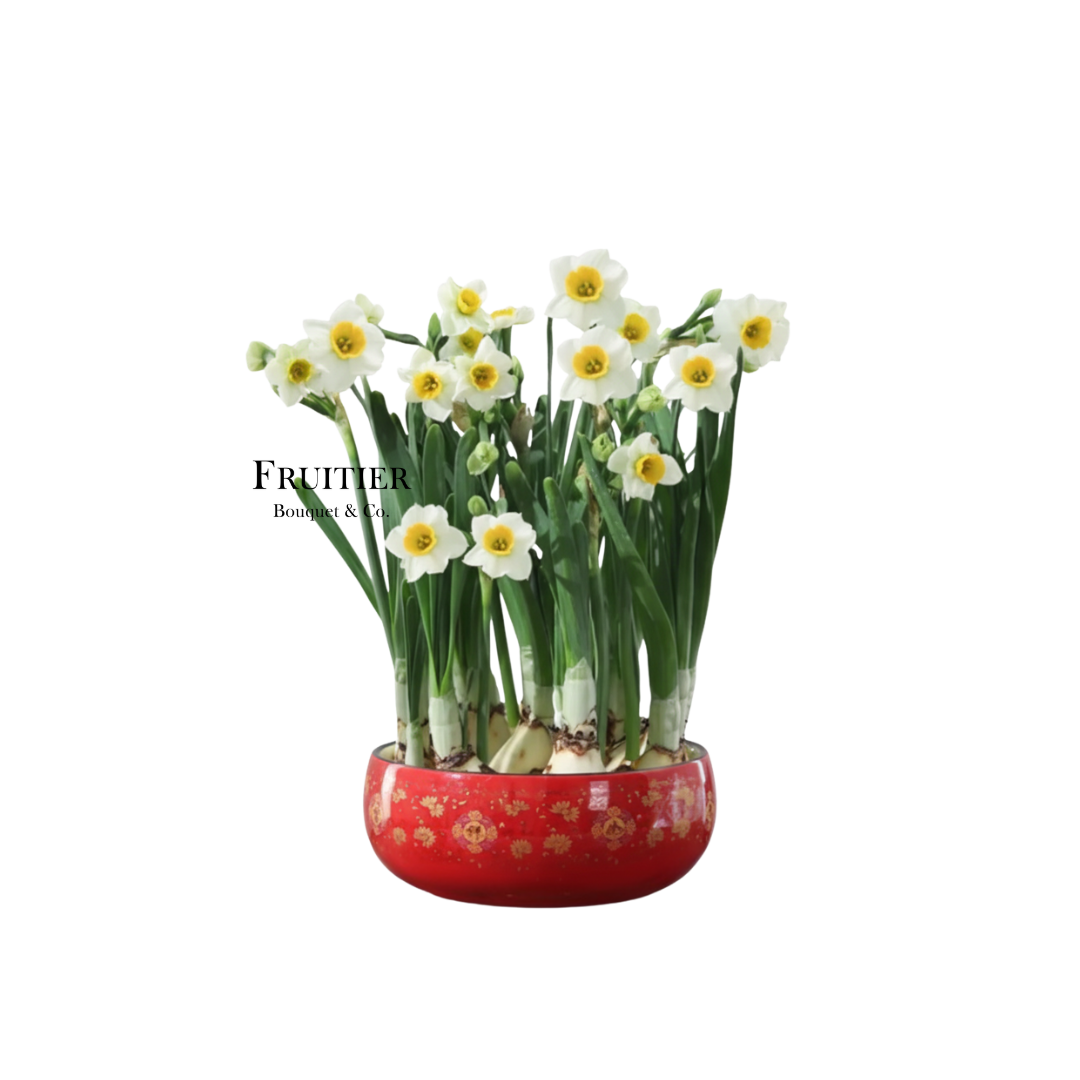 商業花藝佈置:企頭水仙