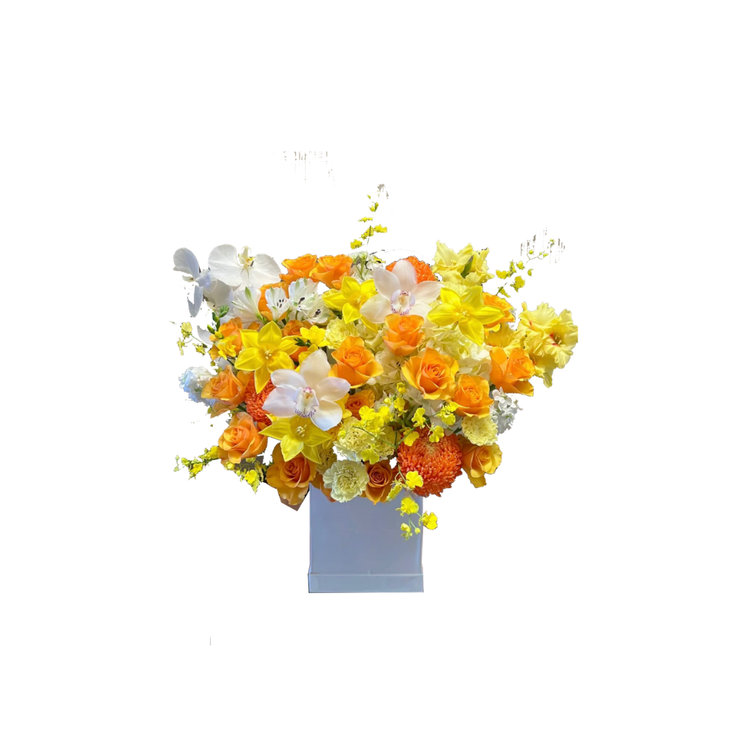 鮮花花籃 - 橙玫瑰混搭蝴蝶蘭 - XL (白色抱抱桶)