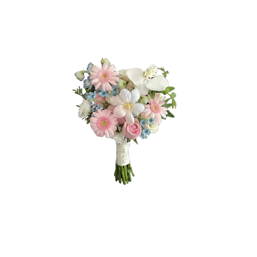 鮮花花束 - 鬱金香混搭非洲菊手捧花 (白色絲帶)