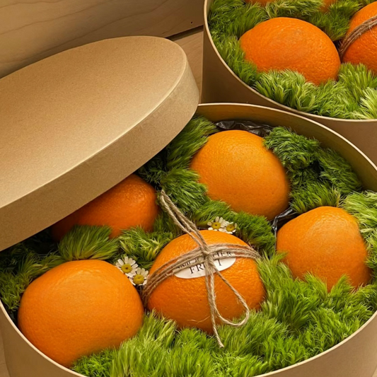 法式小型柑橘禮盒