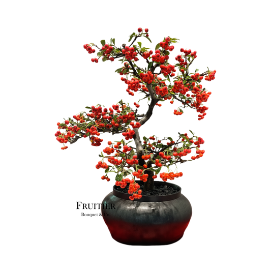 商業花藝佈置：火棘果