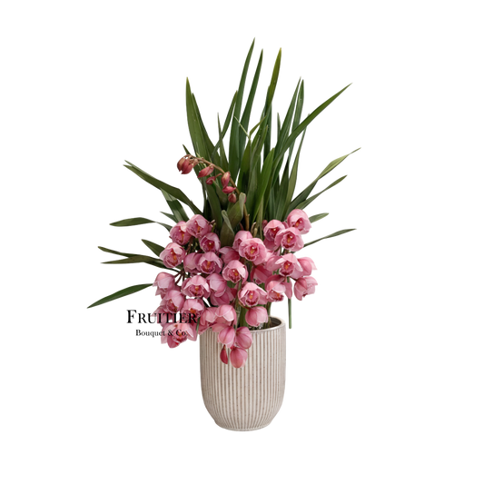 商業花藝佈置：大花蕙蘭