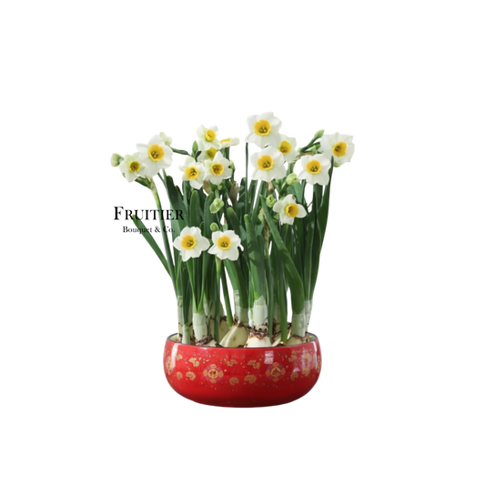 商業花藝佈置：企頭水仙