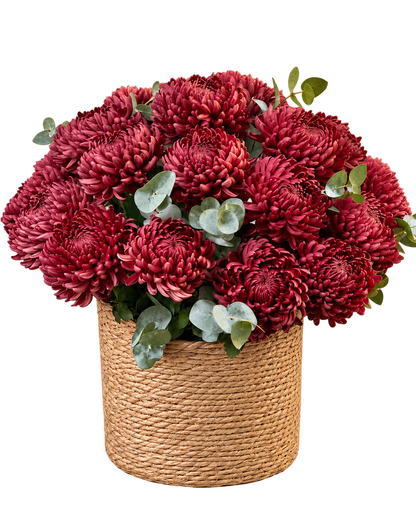 紫紅色大花紫菊、尤加利與藤編花籃，透明背景