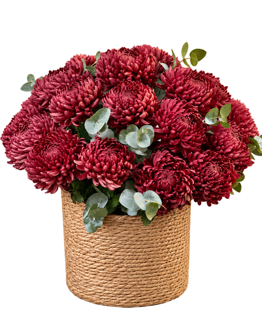 紫紅色大花紫菊、尤加利與藤編花籃，透明背景